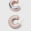 Rhinestone earrings