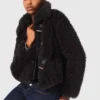 Short curly coat Short curly coat