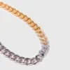 Two-tone rhinestone link necklace Two-tone rhinestone link necklace