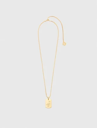 Zodiac sign plaque necklace