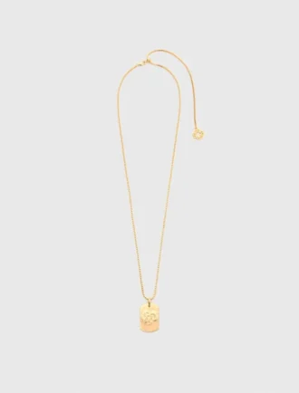 Zodiac sign plaque necklace
