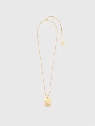 Zodiac sign plaque necklace