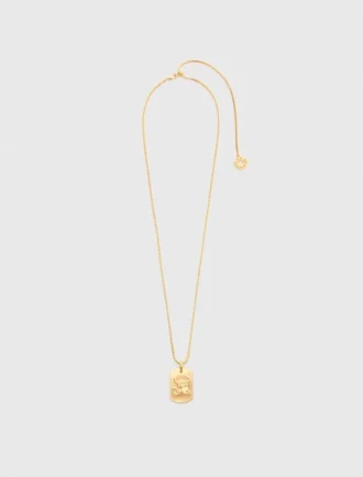 Zodiac sign plaque necklace
