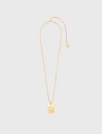Zodiac sign plaque necklace