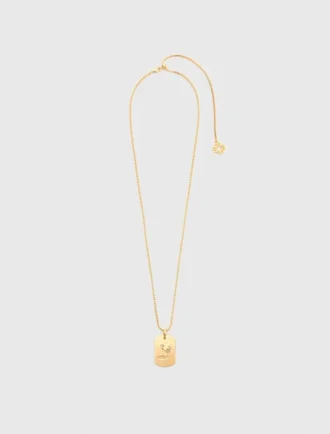 Zodiac sign plaque necklace