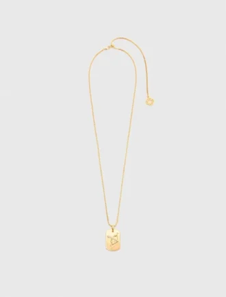Zodiac sign plaque necklace
