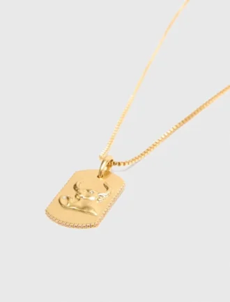 Zodiac sign plaque necklace