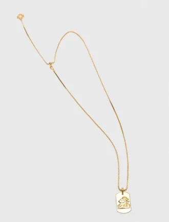 Zodiac sign plaque necklace